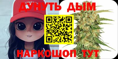 прущие грибы Можга