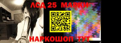прущие грибы Можга