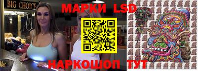 прущие грибы Можга