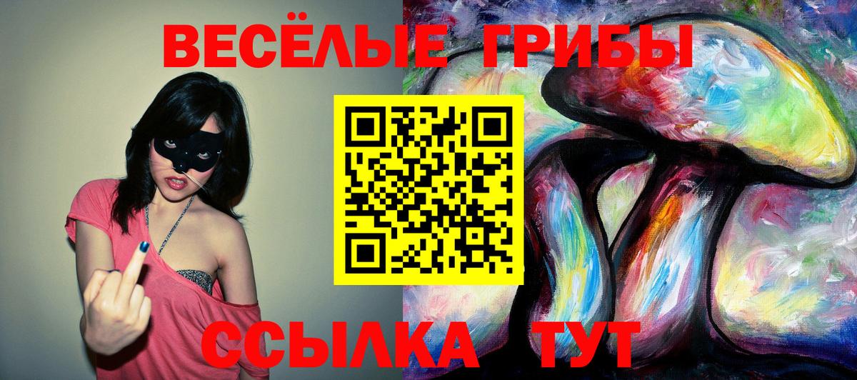 Псилоцибиновые грибы Psilocybine cubensis Городец