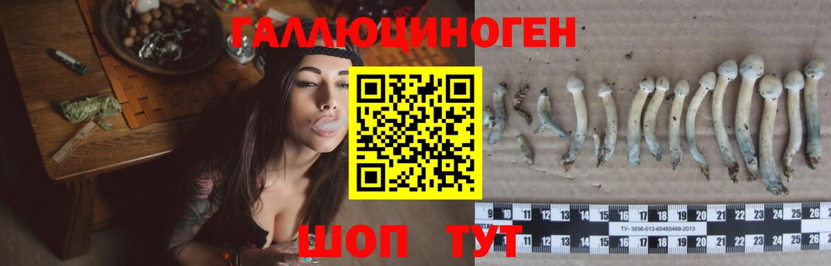 Галлюциногенные грибы мухоморы  Вход с VPN  Городец 